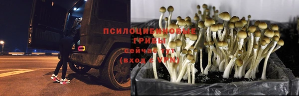 героин Нязепетровск
