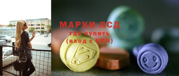 ГАЛЛЮЦИНОГЕННЫЕ ГРИБЫ Осташков